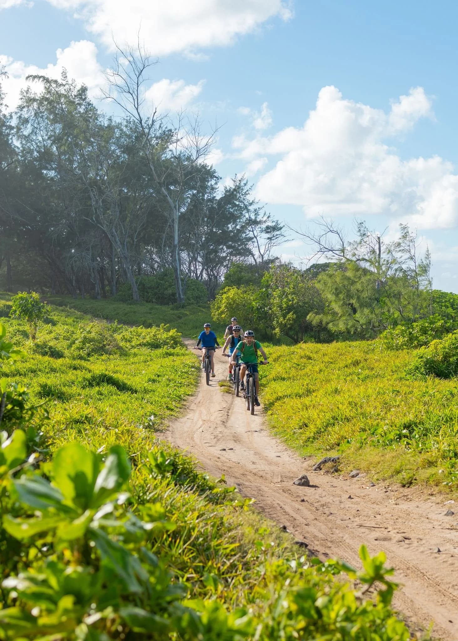 Wild South E-bike Adventure