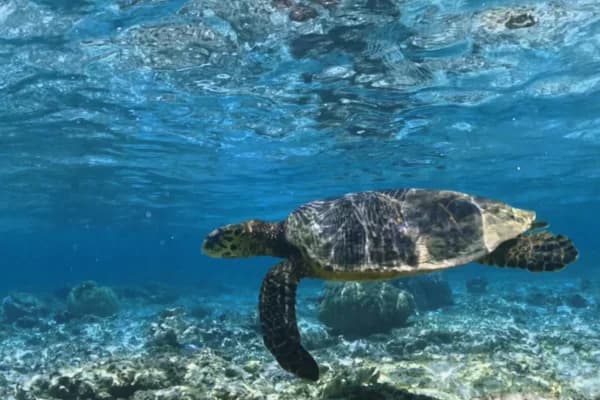 Private Northern Islands Full-Day Boat Trip with One Drop Excursions