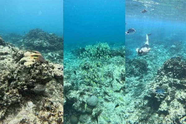 Private Bernache Island and West Coast Day Trip with One Drop Excursions