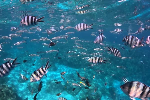 Private Northern Islands Full-Day Boat Trip with One Drop Excursions