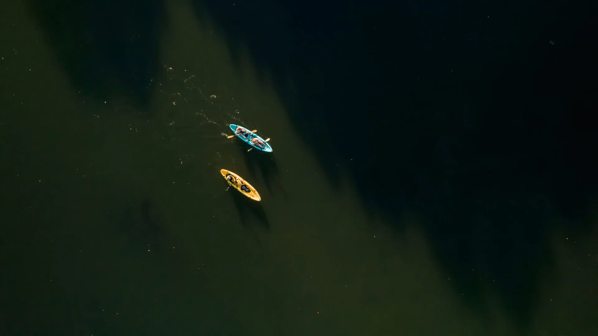 Kayak on the Tamarin River
