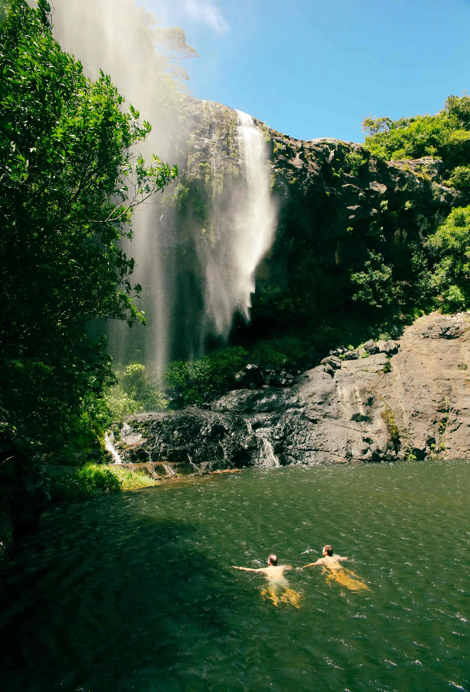 Best of Mauritius: Top Hiking, Waterfalls & Dolphin Tours