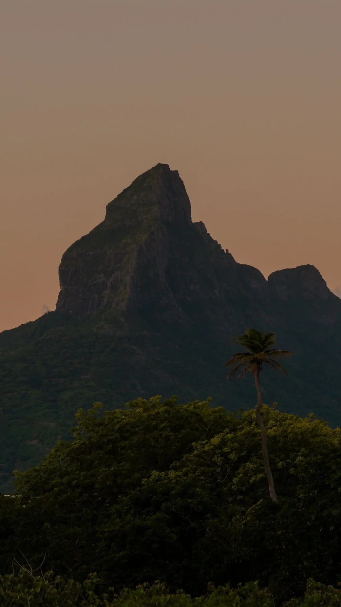 Kayak at Sunset on the Tamarin River