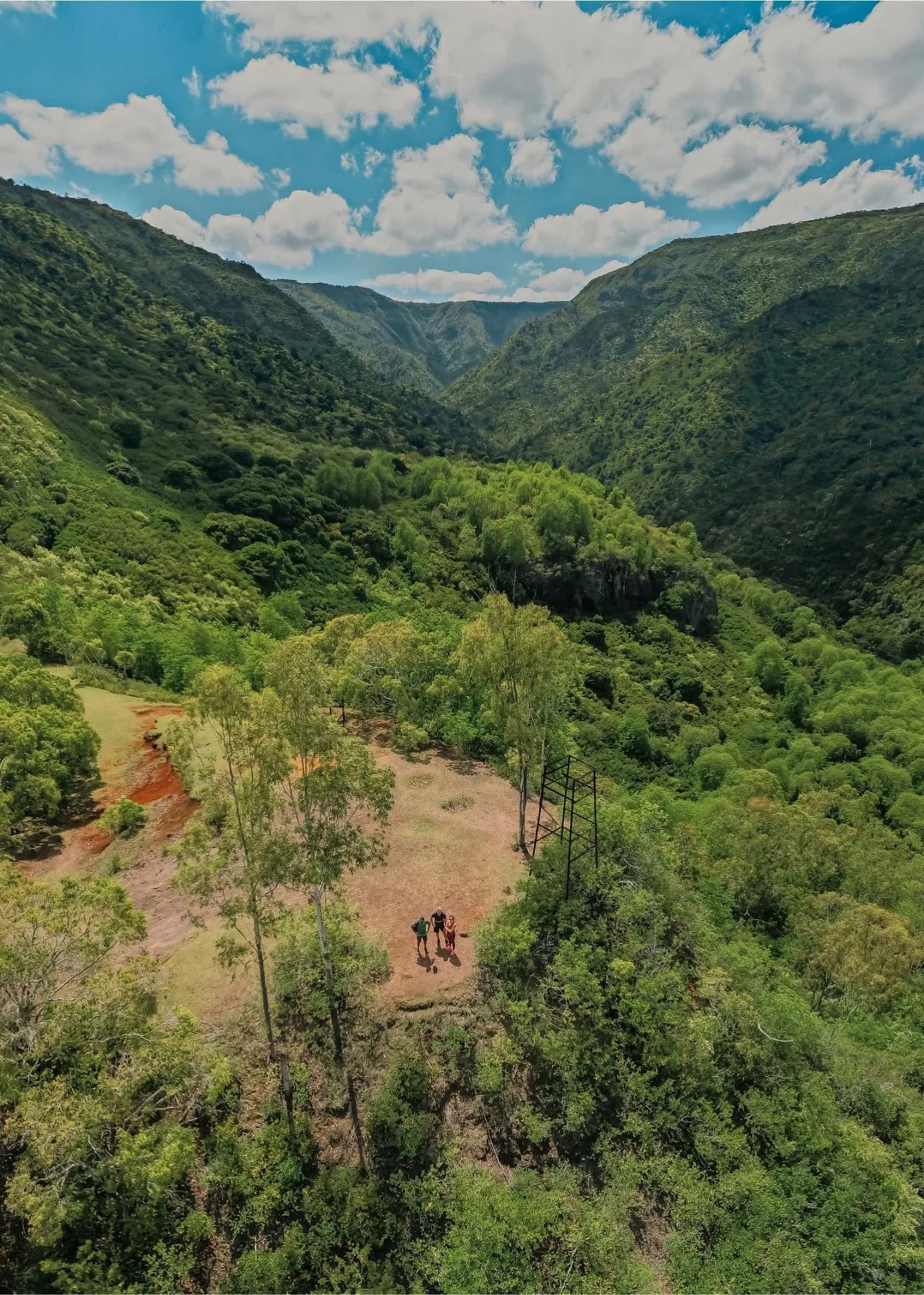 Hiking at Black-River Gorges