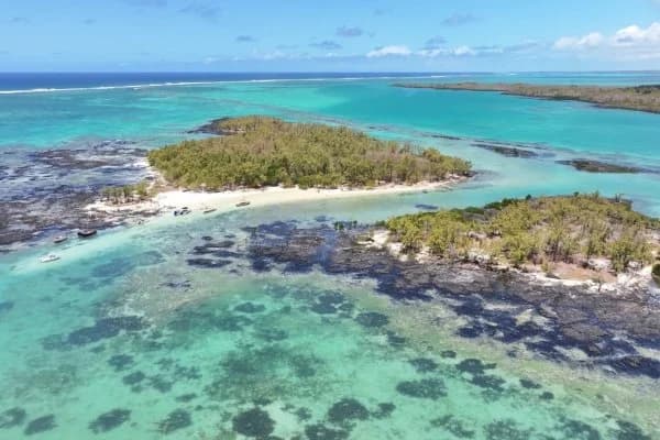 Private Bernache Island Day Trip