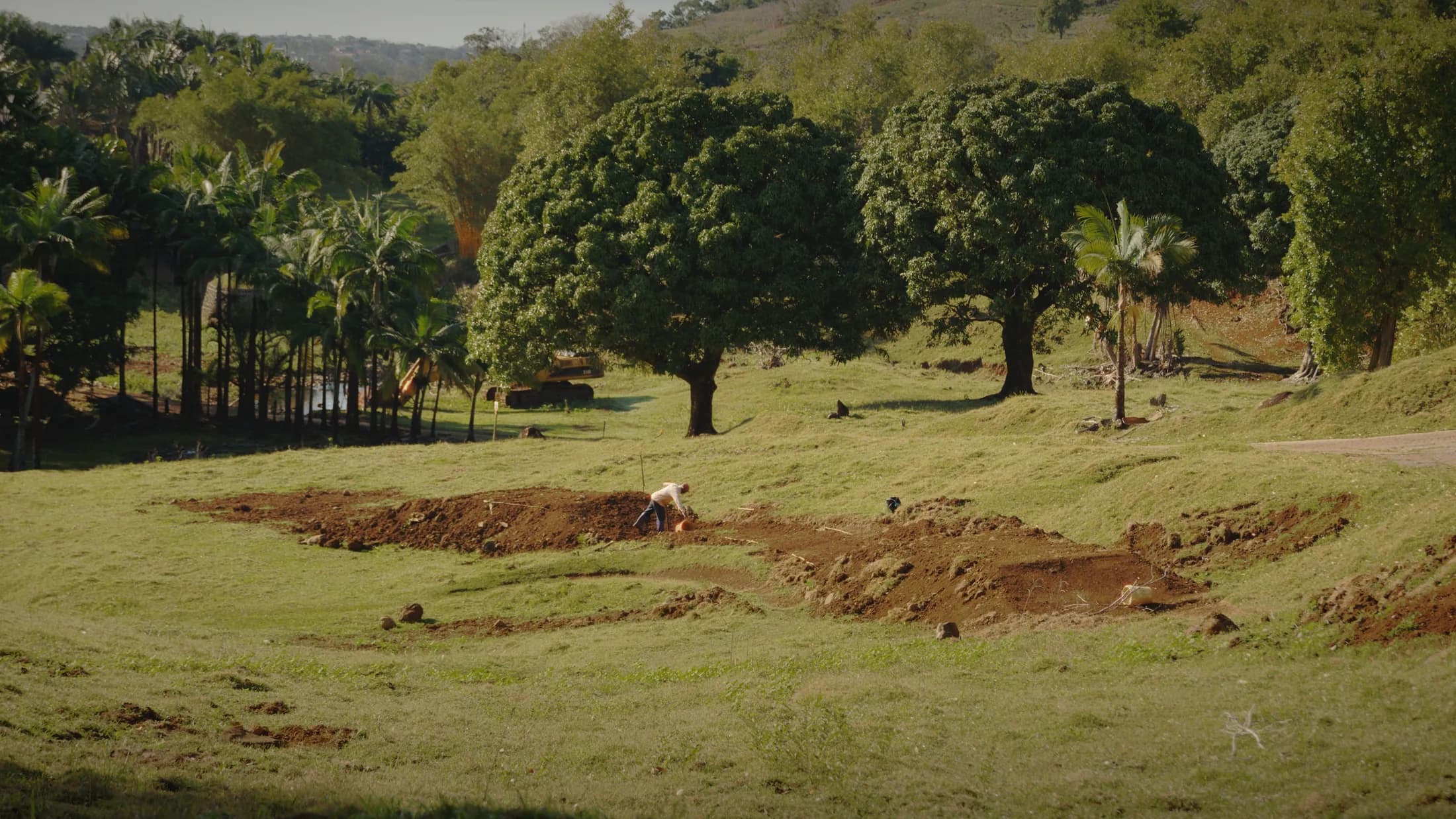 Private MTB Skills Coaching in Mauritius