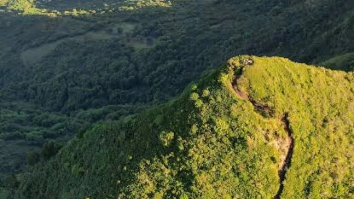 View over forested ridges from Black River Peak in Mauritius