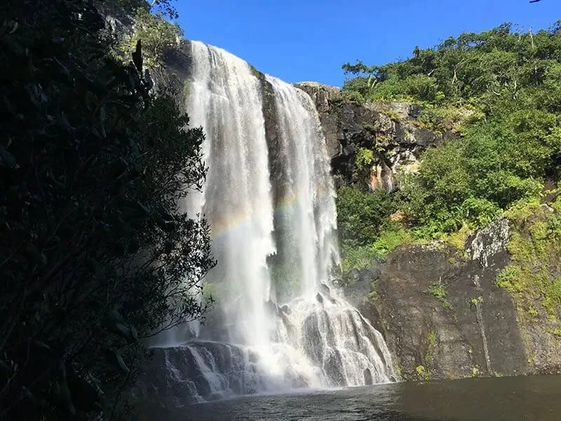 Hiking to Tamarind Falls: what you need to know before you go