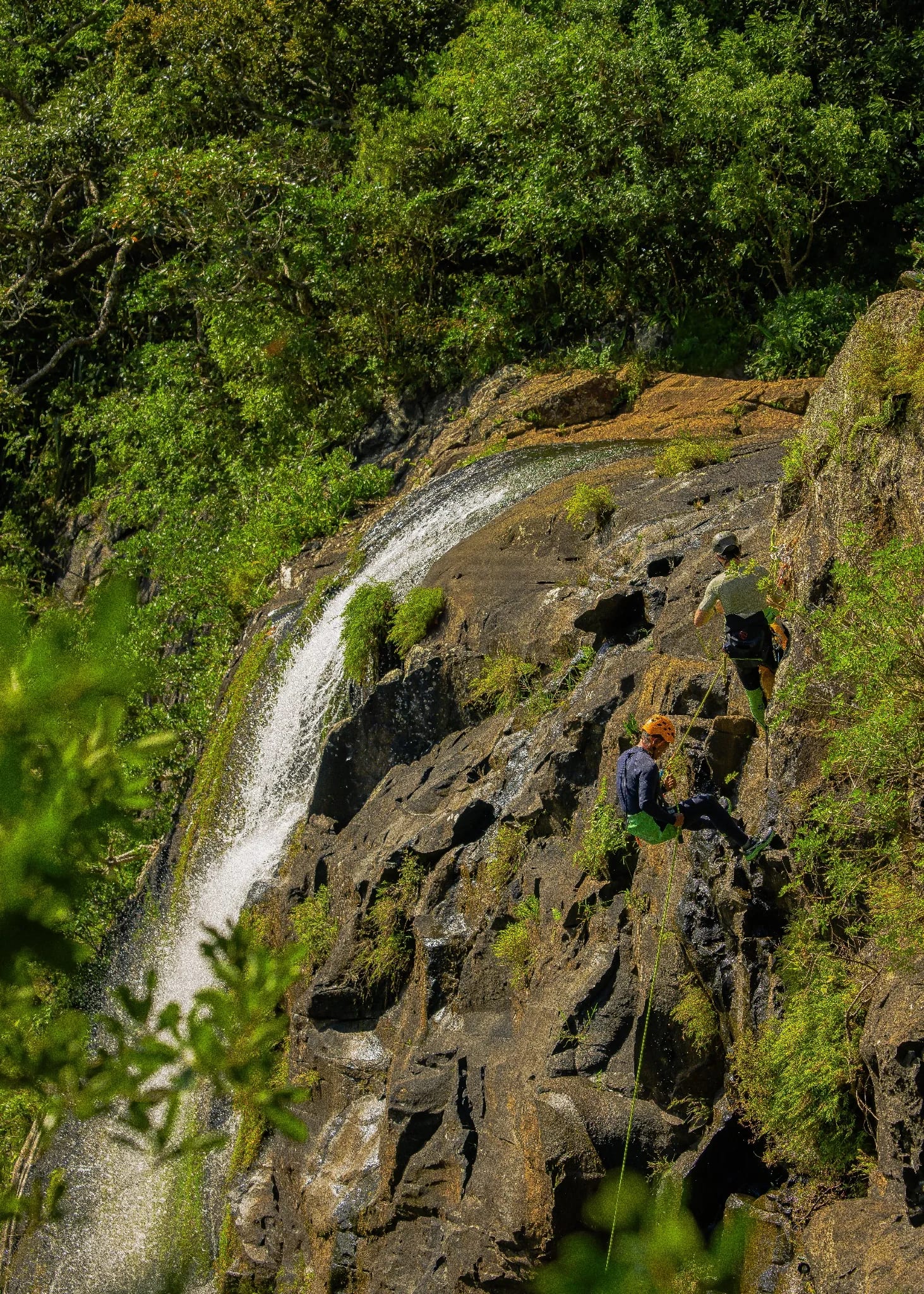 Tamarind Falls Canyon Descent: How to Choose the Right Canyoning Experience