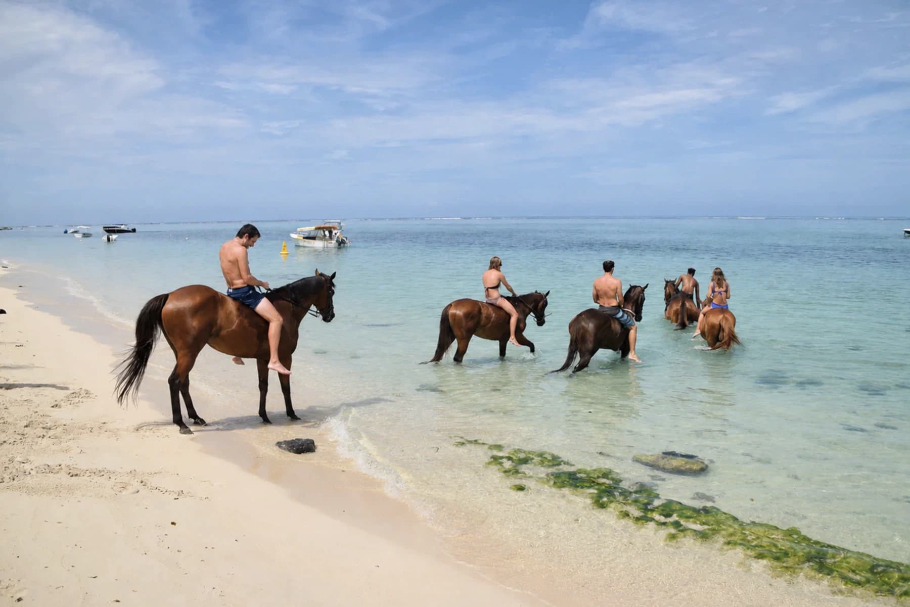 Horse Swimming at Le Morne